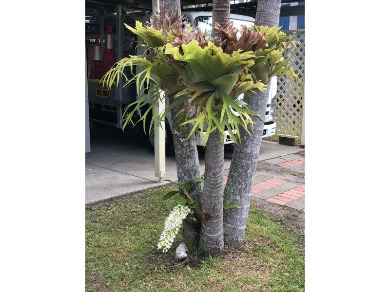 1/383 North Street, Wooli NSW 2462