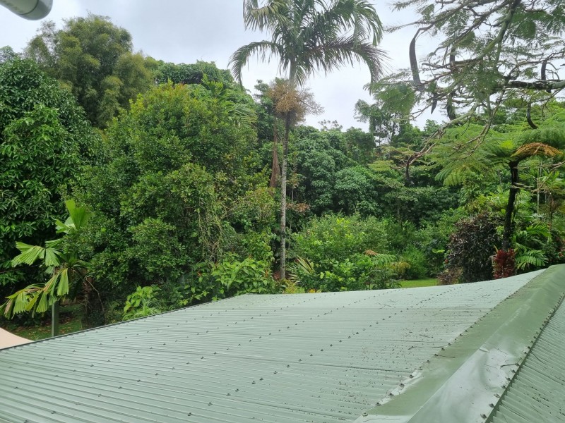 582 Bingil bay rd, Bingil Bay QLD 4852