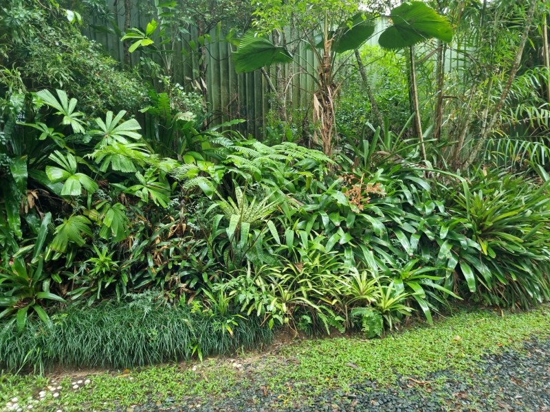 582 Bingil bay rd, Bingil Bay QLD 4852