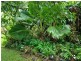 582 Bingil bay rd, Bingil Bay QLD 4852