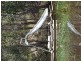 139 Moes Rd, Walligan QLD 4655