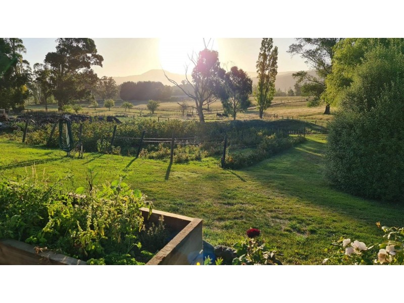 71 Mountain River Road, Grove TAS 7109