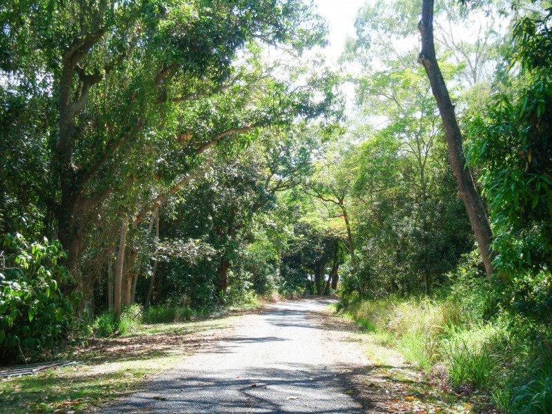 36 Blue Gum Drive, Glenella QLD 4740