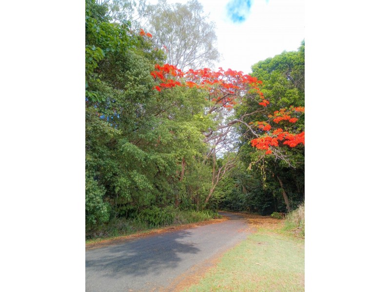 36 Blue Gum Drive, Glenella QLD 4740