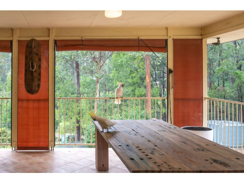 42 Calala Court, Bonogin QLD 4213