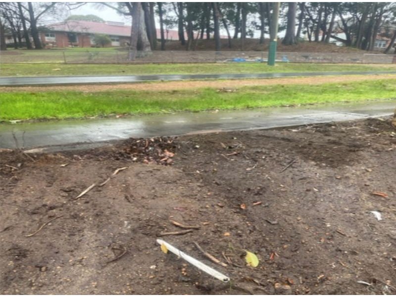 83 Deakin Street, Collie WA 6225