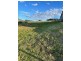 20 Currawong Drive, Calala NSW 2340