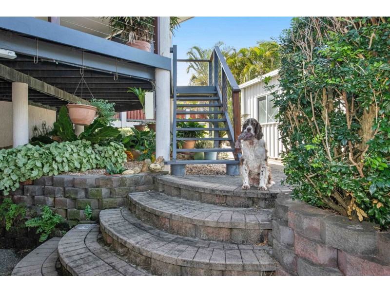 12 Cinnamon Drive, Glenella QLD 4740