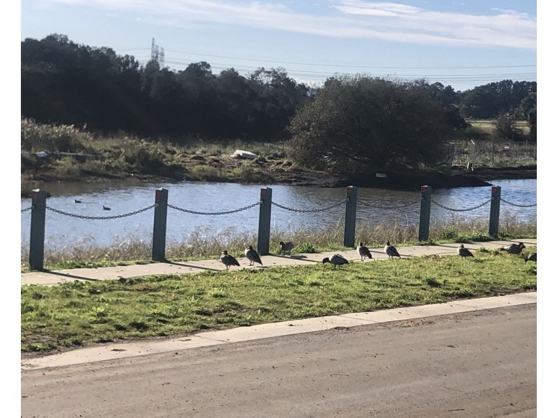 46 Landscape Blvd, Hampton Park VIC 3976