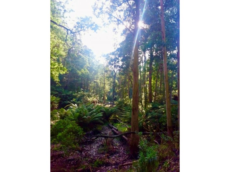 5793 Huon Highway, Glendevie TAS 7109