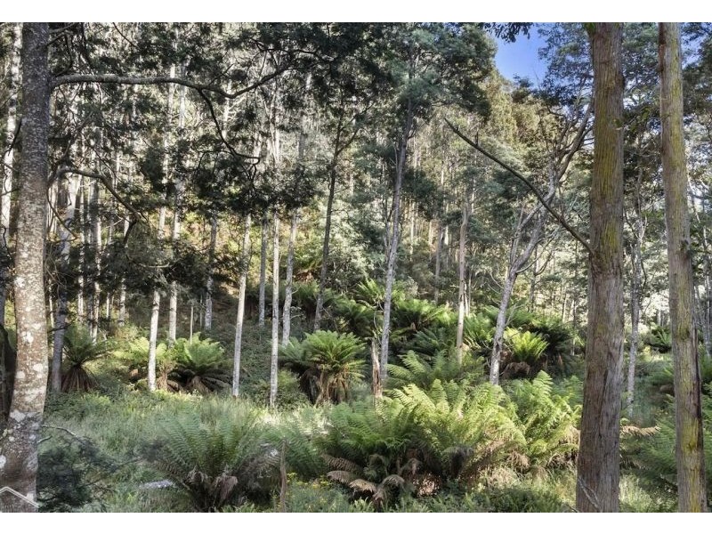 5793 Huon Highway, Glendevie TAS 7109