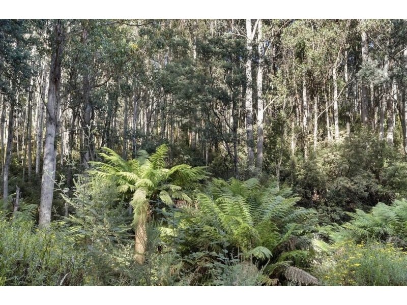 5793 Huon Highway, Glendevie TAS 7109