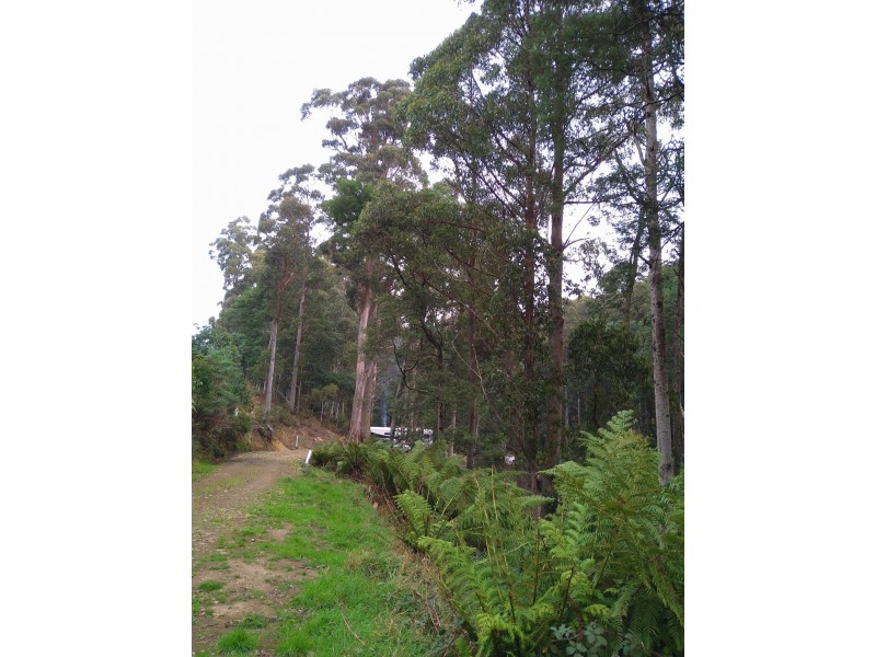 5793 Huon Highway, Glendevie TAS 7109