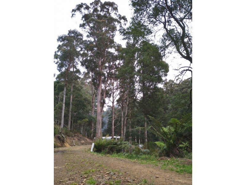 5793 Huon Highway, Glendevie TAS 7109