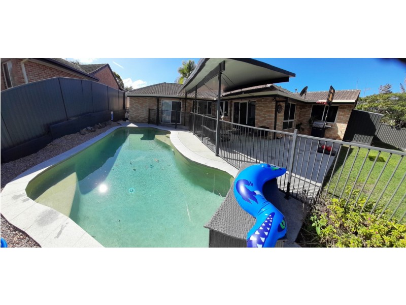 8 Shelly Pl, Upper Coomera QLD 4209