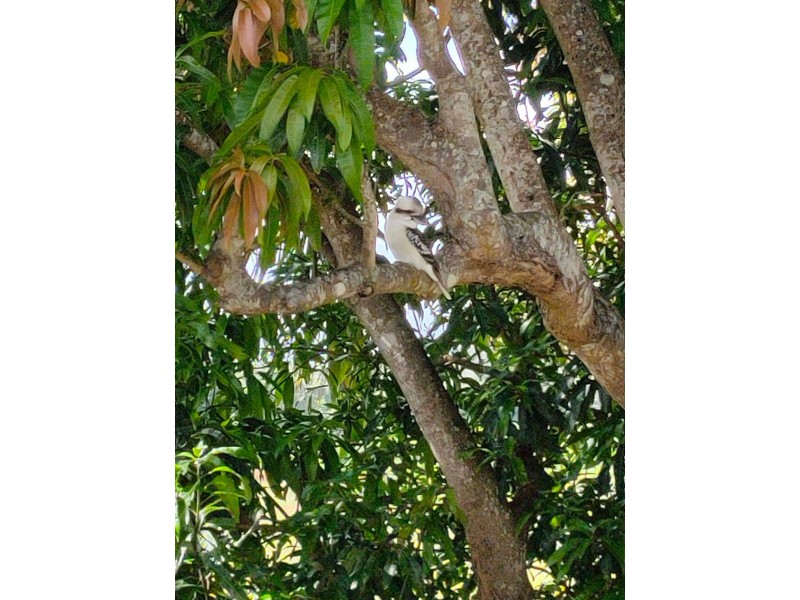 119 Ann Street, Maryborough QLD 4650