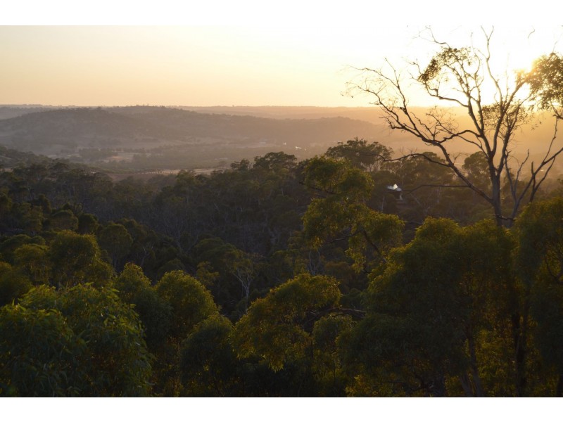 60 Sesselis Road, Toodyay WA 6566