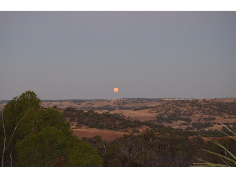60 Sesselis Road, Toodyay WA 6566