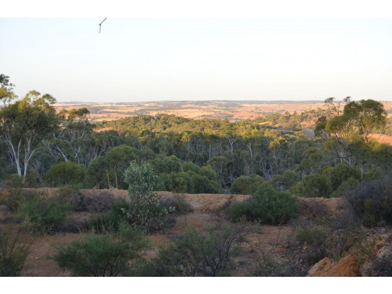 60 Sesselis Road, Toodyay WA 6566