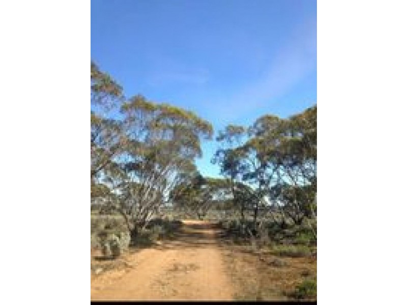 105 Stock Route Road, Mount Mary SA 5374