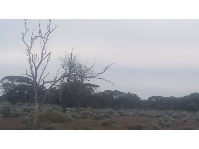 105 Stock Route Road, Mount Mary SA 5374