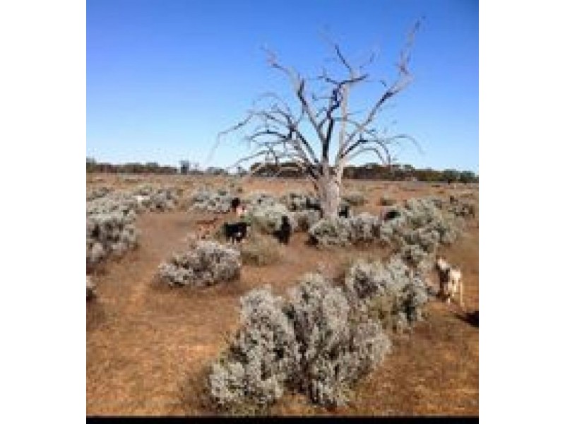 105 Stock Route Road, Mount Mary SA 5374