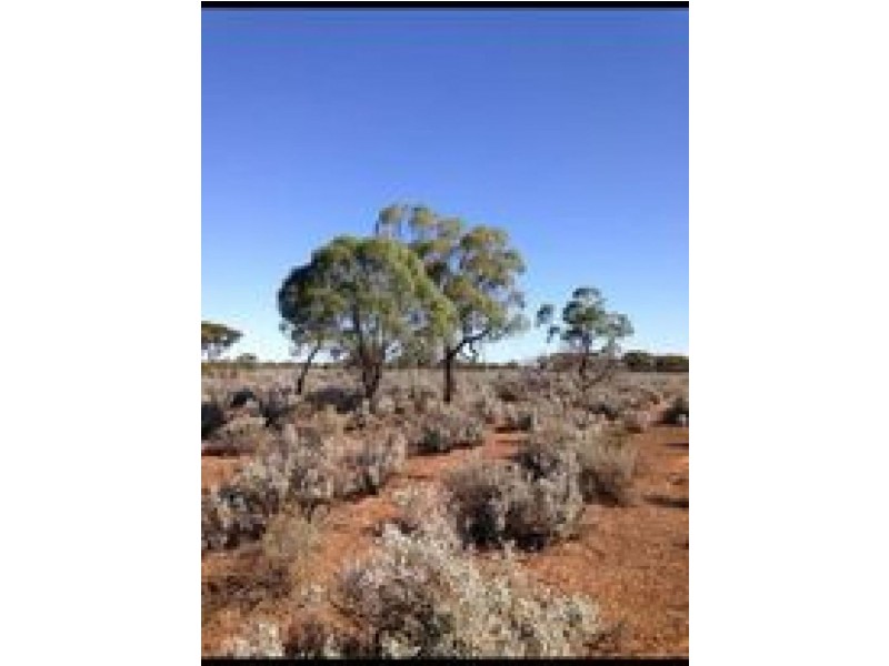 105 Stock Route Road, Mount Mary SA 5374