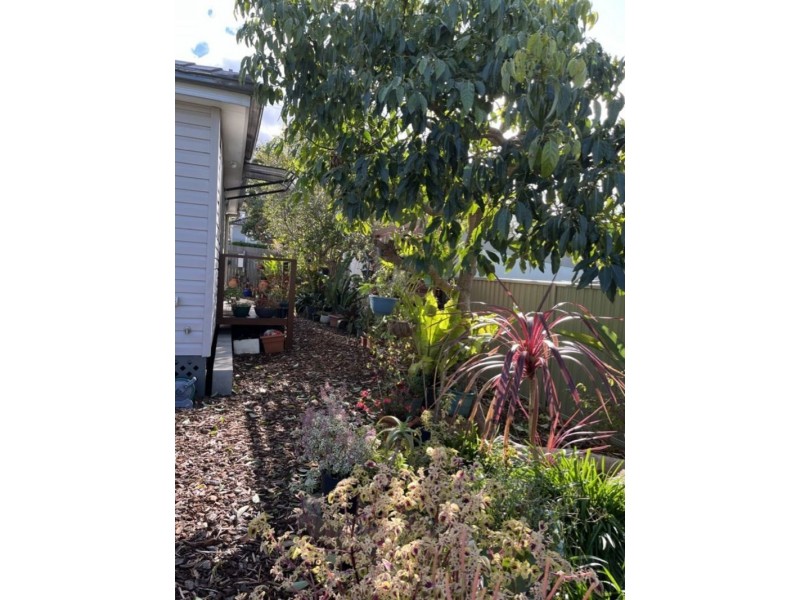 19 Louise Street, Jannali NSW 2226