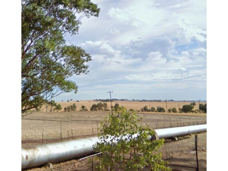 292 Muluckine Rd, Grass Valley WA 6403