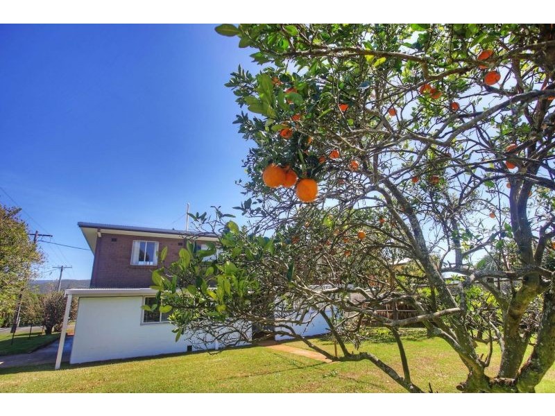 24 Abbott Street, Atherton QLD 4883