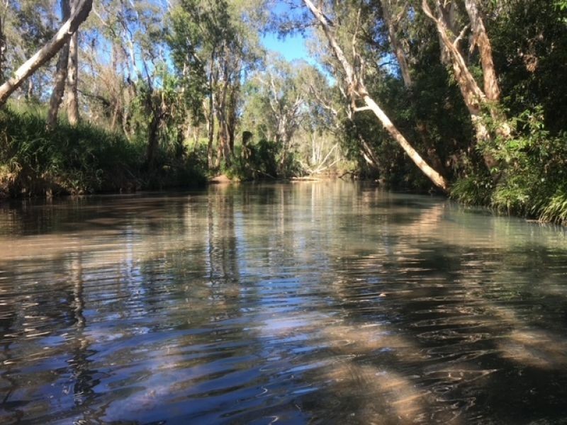 446 Forestry Rd, Bluewater Park QLD 4818