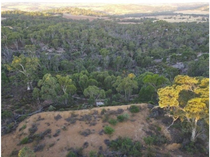 60 Sesselis Rd, Toodyay WA 6566