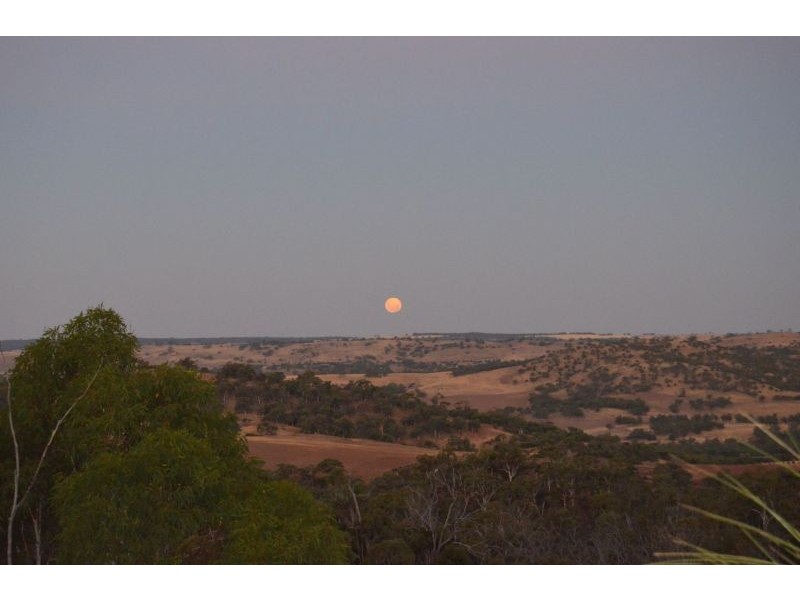 60 Sesselis Rd, Toodyay WA 6566