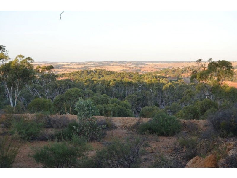 60 Sesselis Rd, Toodyay WA 6566