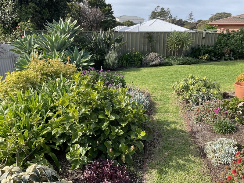86 Albatross Ave, Hayborough SA 5211