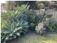86 Albatross Ave, Hayborough SA 5211