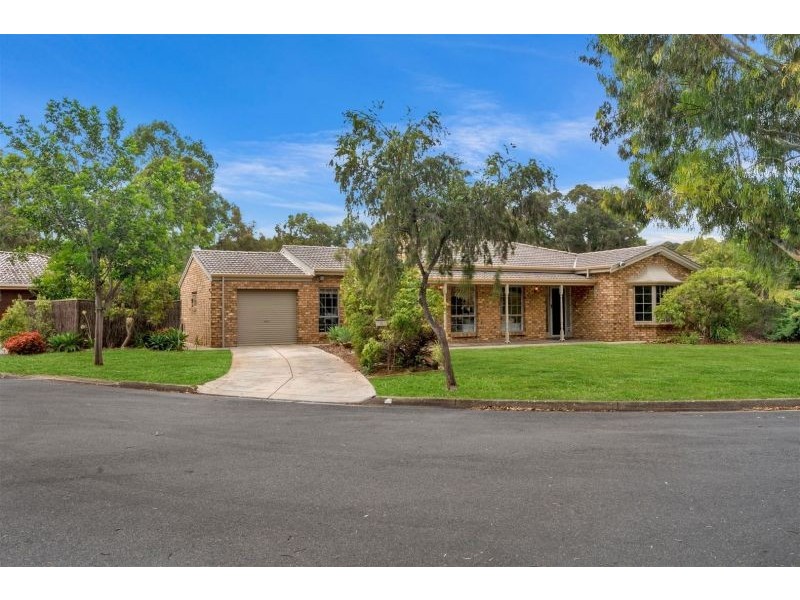 6 Brentyn Court, Campbelltown SA 5074