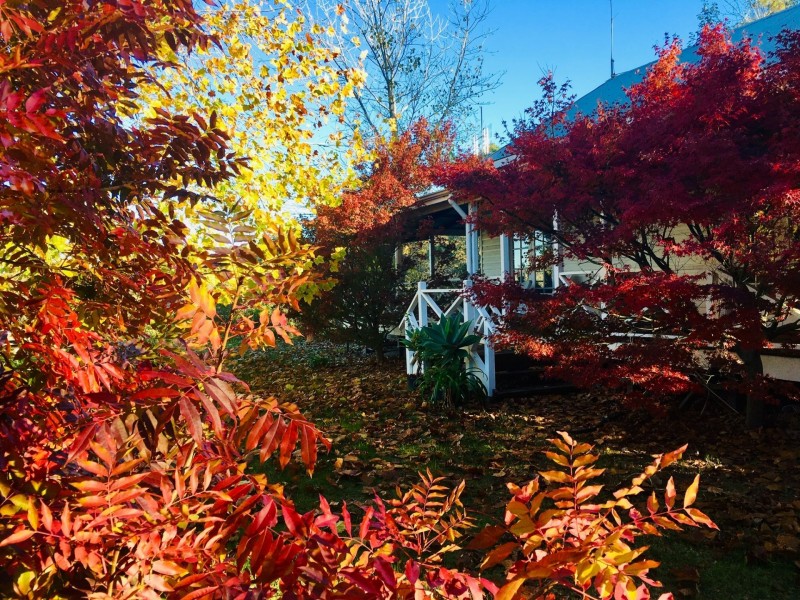 Lot 200/345 Stansfield Road, Harvey WA 6220