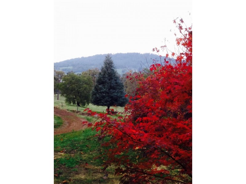 Lot 200/345 Stansfield Road, Harvey WA 6220