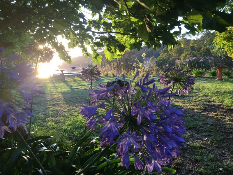 Lot 200/345 Stansfield Road, Harvey WA 6220