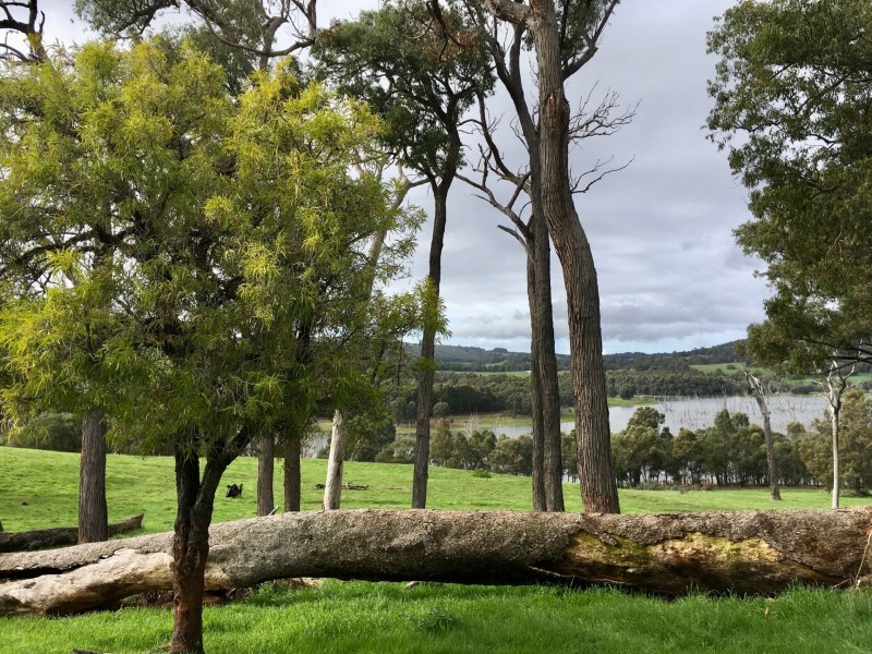 Lot 200/345 Stansfield Road, Harvey WA 6220