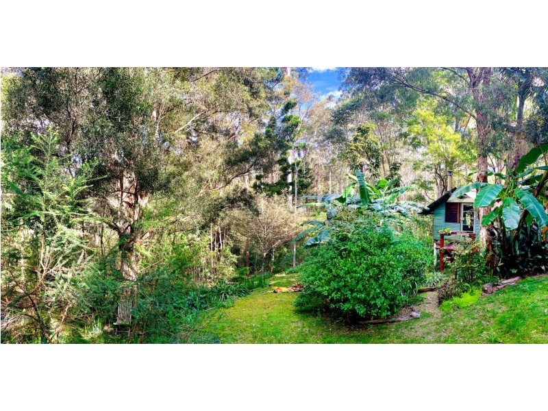 44/4505 Kyogle Rd, Wadeville NSW 2474