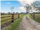 730 Reardons Lane, New Italy NSW 2472