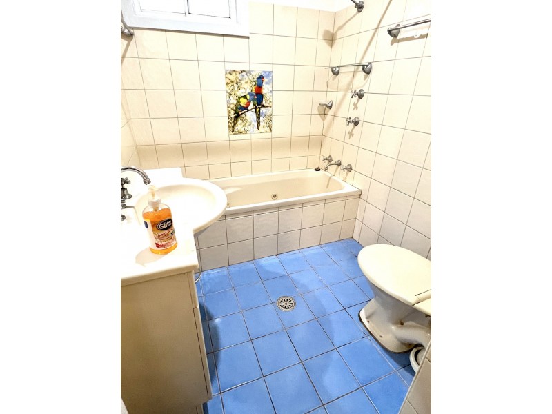 41 skellatar street, Muswellbrook NSW 2333