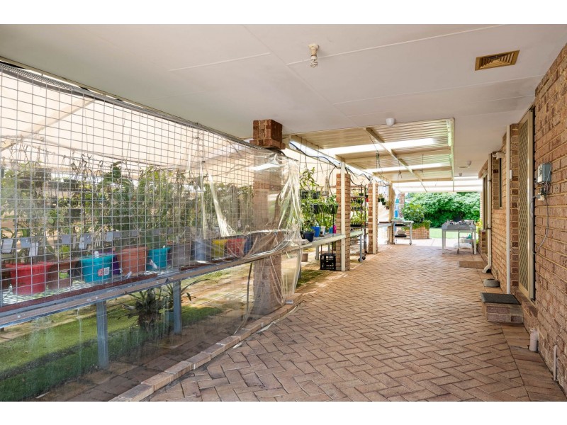 18 Lemon Grove, Seville Grove WA 6112