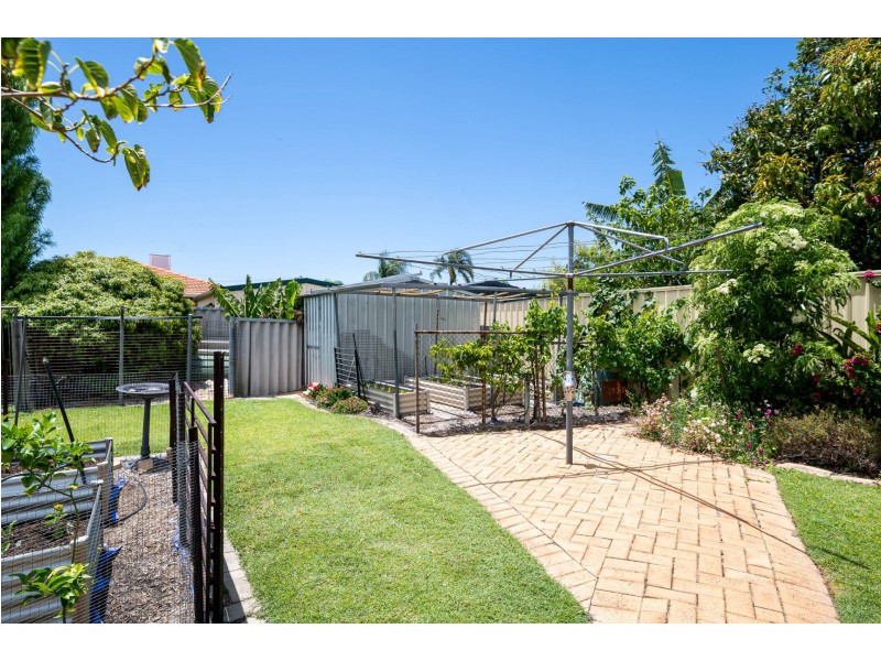 18 Lemon Grove, Seville Grove WA 6112
