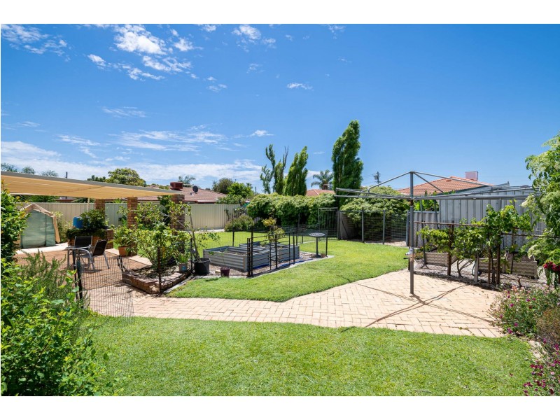 18 Lemon Grove, Seville Grove WA 6112