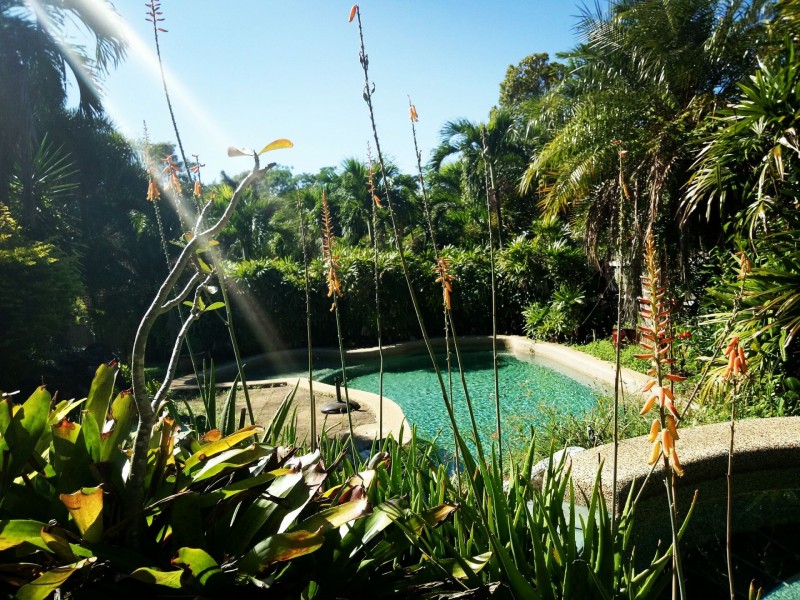 6 Barossa Close, Brinsmead QLD 4870