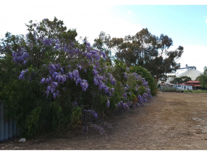 Lot 17 & 18 Stone Street, Borden WA 6338