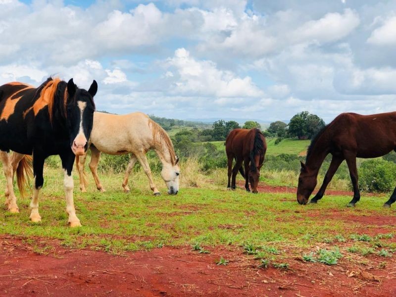 28941 Bruce Highway, Childers QLD 4660